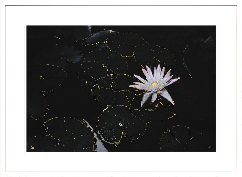 Island Gallery 企画展 / 時のかけら　参加のお知らせ